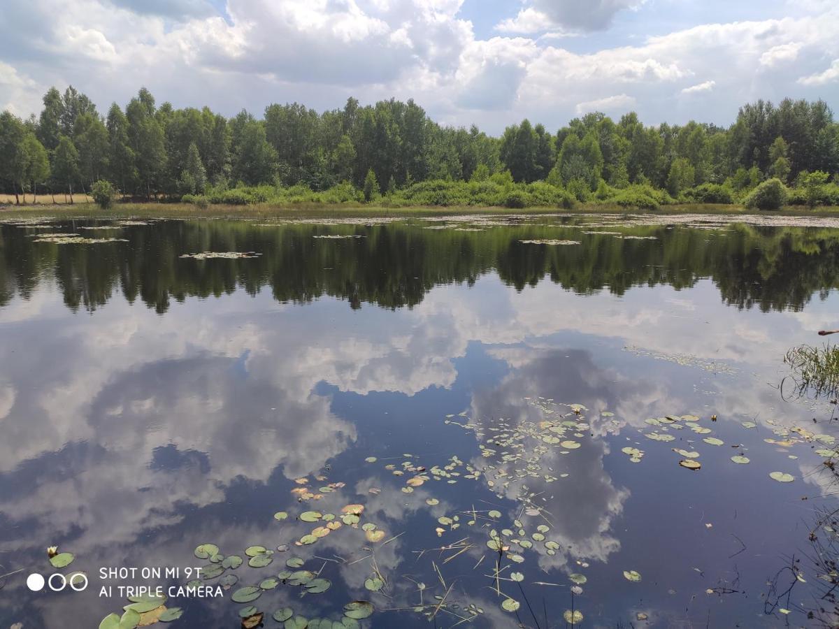 Reza Villa Bełchatów Kültér fotó